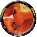 RPTok
